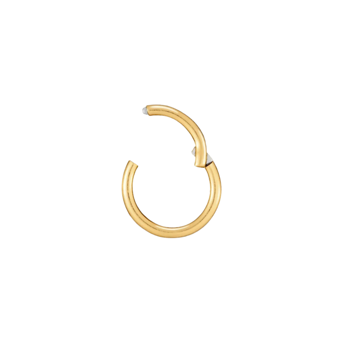 TESSA HOOP